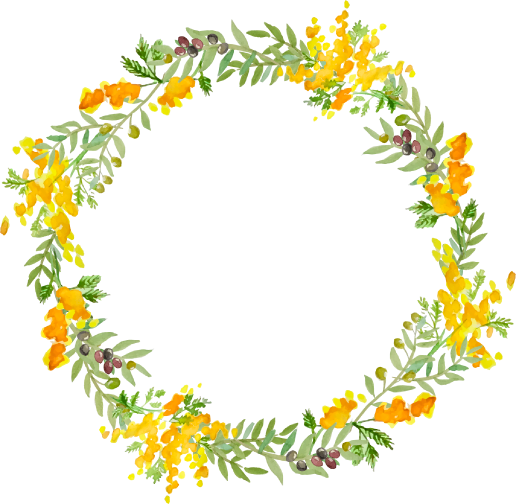 Belles Secret（ベルズシークレット)